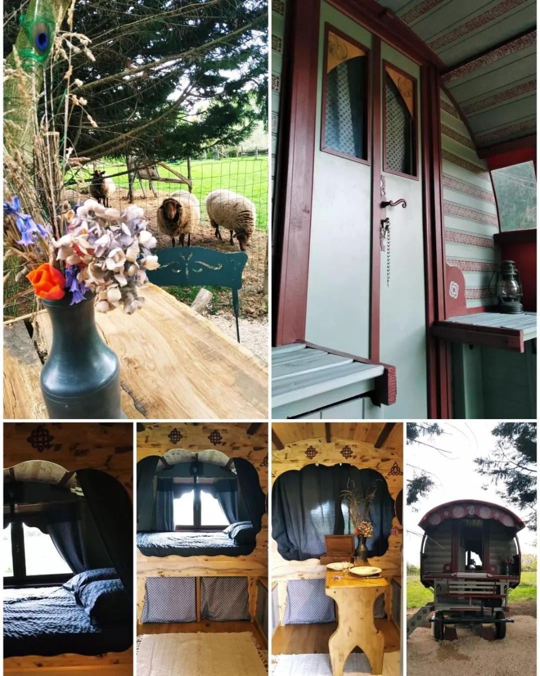 Roulotte Irlandaise Polly Tente de luxe Saint-Vincent-en-Bresse